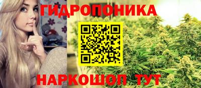 дмт Бузулук