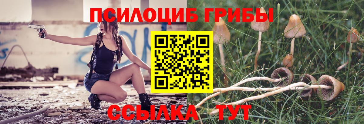 Псилоцибиновые грибы мухоморы Королёв