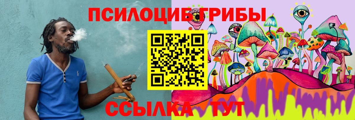 Псилоцибиновые грибы мухоморы  Вход с VPN  Королёв  Галлюциногенные грибы Psilocybine cubensis 